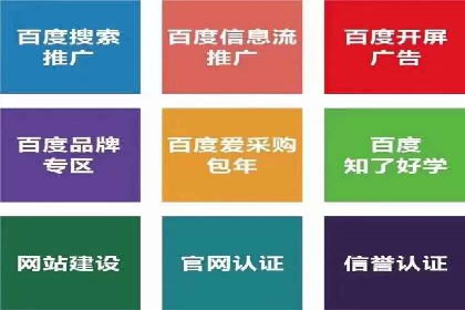案例研究：SEM推广如何提升品牌知名度